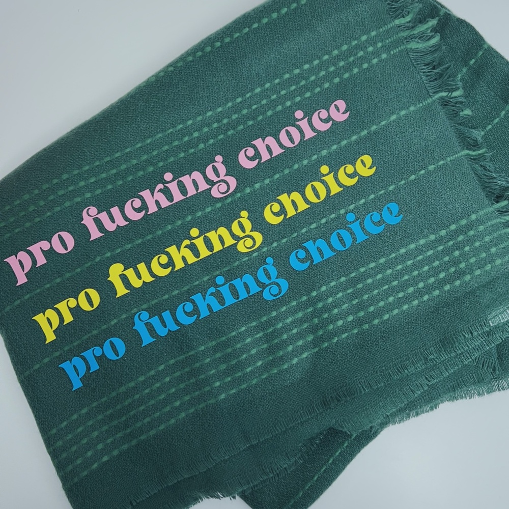 50 in x 60 in pro choice blanket / pansexual Pride colors